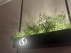 -华夏良子·足道SPA艾灸(铁道大厦店)