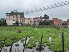 -园林美食城·本土农家菜(杨和镇店)