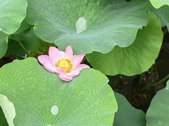 -沐仙湖湿地公园