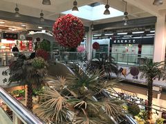 -双季花艺园艺市场(浦东店)