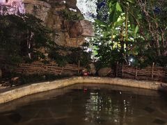 -深业半汤御泉庄温泉
