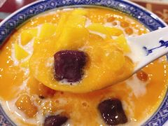 多芒小丸子-赵记传承特色牛奶甜品(泉城广场店)