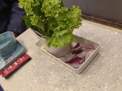 -三毛烤羊腿(乐园路总店)