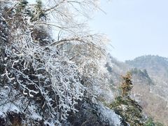 iphone_upload_pic-大明山自然探索公园