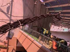 -陕西自然博物馆