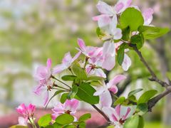 -西山漾湿地公园