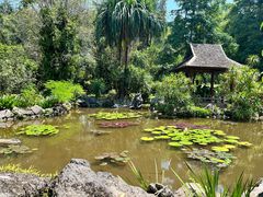 -中国科学院西双版纳热带植物园