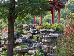 -顺峰山公园