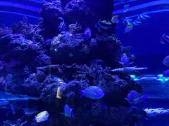 -成都浩海立方海洋公园