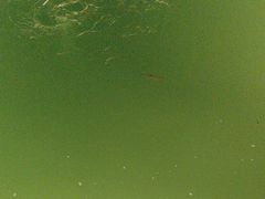 -DGE季风钓虾营地·团建·聚会
