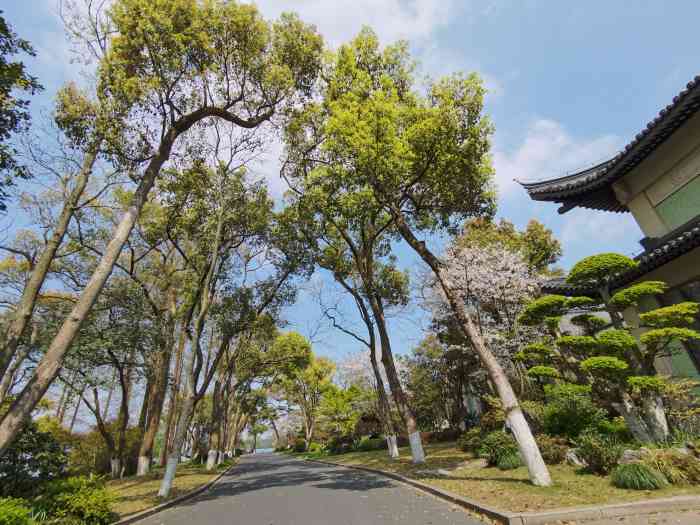 西子宾馆·漪园吧-"为环境点赞,为服务点赞!真不错!环境超级.