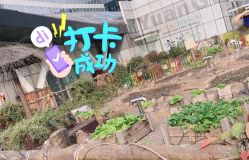 -可可天空农场(中大店)
