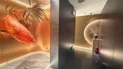 -禾美科技美肤·芳香疗愈SPA联合会所