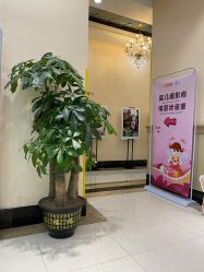 点击看大图 -同远QQBABY亲子摄影(北京路店)
