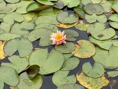 -上海植物园·停车场