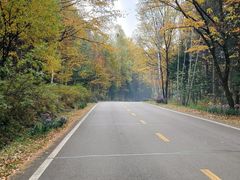 -五营红松林海景区