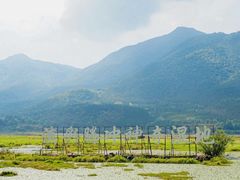 -腾冲北海湿地