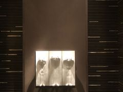 -上海柏悦酒店·世纪100牛排馆
