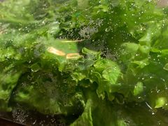 -新石器烤肉(中房金谊广场店)