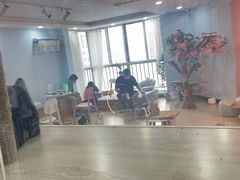 -喵宠乐园·撸猫互动·猫舍