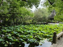 -上海醉白池公园
