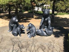 -济州岛泰迪熊博物馆