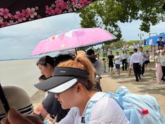 -观潮胜地公园