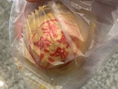 -百年泰康鲜肉月饼