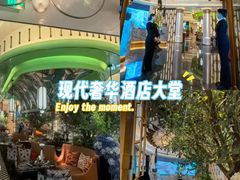 -索拉古贝(义乌北苑店)