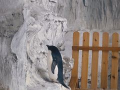 -海合安武汉极地海洋公园