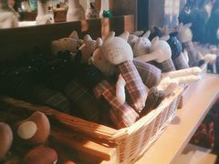-猫咪博物馆(顶澳仔猫街店)