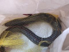 -南沙十九涌渔人码头-南门