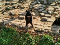 -野生动物园-停车场