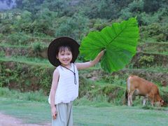 -大姆山草场