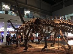 -自贡恐龙博物馆