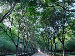 -洛阳市隋唐城遗址植物园