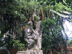 景点-瑞丽独树成林风景区