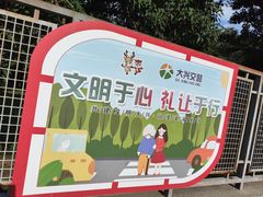 -金星公园