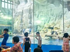 -帝企鹅自助餐厅•儿童岛•真企鹅(长隆企鹅酒店)