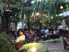 -Fern Forest Cafe