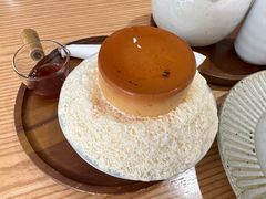 -猫里有甜
