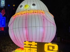 -武汉园博园(武汉自然博物馆)