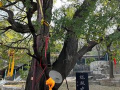 -封龙山风景区