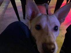 -疆里疆外·和田烤肉·清真