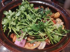 招牌双人份鸡煲-凤兴鸡煲(宝安海雅店)