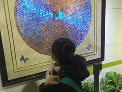 -上海昆虫博物馆