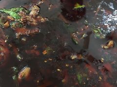 -温江公平红烧兔(总店)