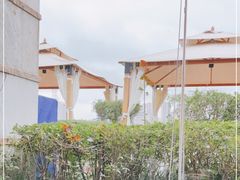 -真爱中国餐馆·年华店(朱雀大街店)