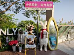 -野狸岛