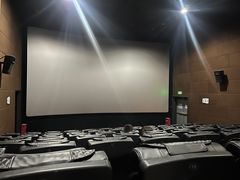 -SFC上影百联影城(大上海4DX店)
